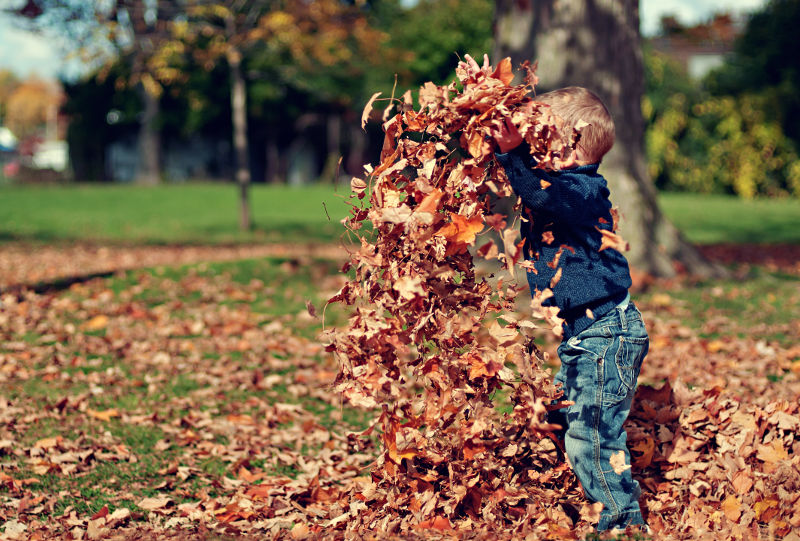 otoño