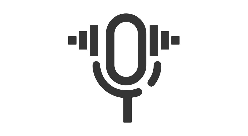 bullet_microfono_ajustable