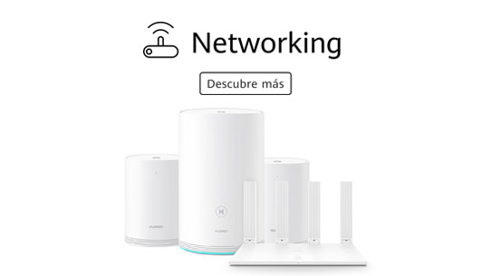 Networking Huawei